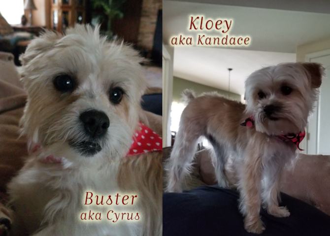 Buster aka Cyrus and Kloey aka Kandace